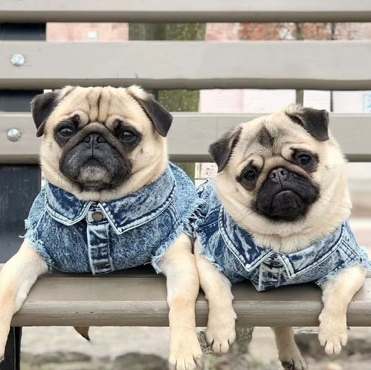 Pet Dog Jeans Jacket Denim Coats Holes Cats Puppy Vest French Bulldog Small Dog Clothes