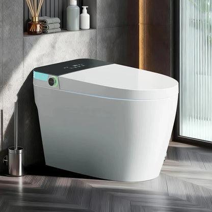 Smart Toilet with Tankless Bidet Wash, Auto Open Lid, Auto Dual Flush, Heat Seat, Warm Wash/Dryer