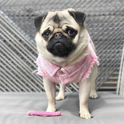 Pet Dog Jeans Jacket Denim Coats Holes Cats Puppy Vest French Bulldog Small Dog Clothes