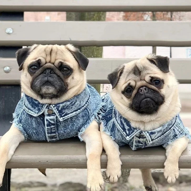 Pet Dog Jeans Jacket Denim Coats Holes Cats Puppy Vest French Bulldog Small Dog Clothes