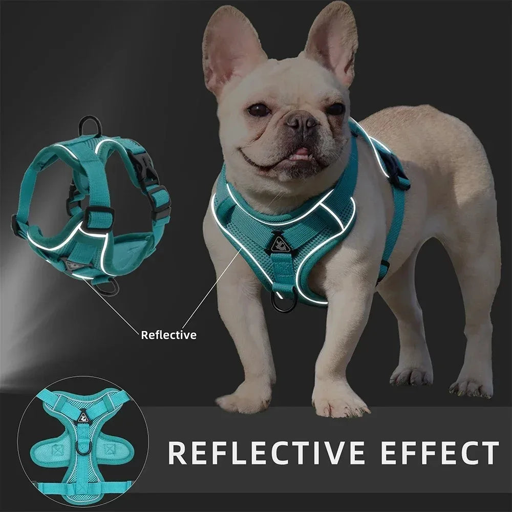 No Pull Harness and Leash Set Adjustable Pet Harness Vest for Small Dogs Cats Reflective Dog Chest Strap Lead Walking