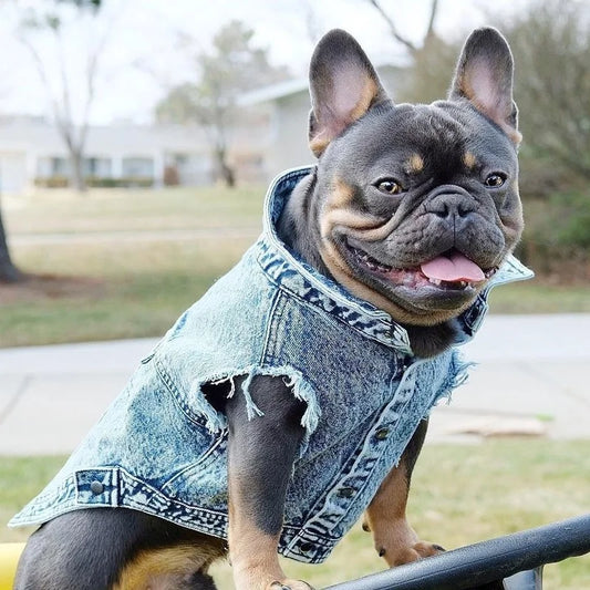 Pet Dog Jeans Jacket Denim Coats Holes Cats Puppy Vest French Bulldog Small Dog Clothes