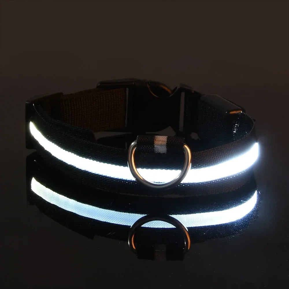 Dog Collar Nylon LED Night Safety Flashing Glow In the Dark Pet Dog collar