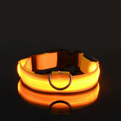 Dog Collar Nylon LED Night Safety Flashing Glow In the Dark Pet Dog collar