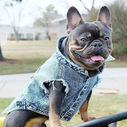 Pet Dog Jeans Jacket Denim Coats Holes Cats Puppy Vest French Bulldog Small Dog Clothes