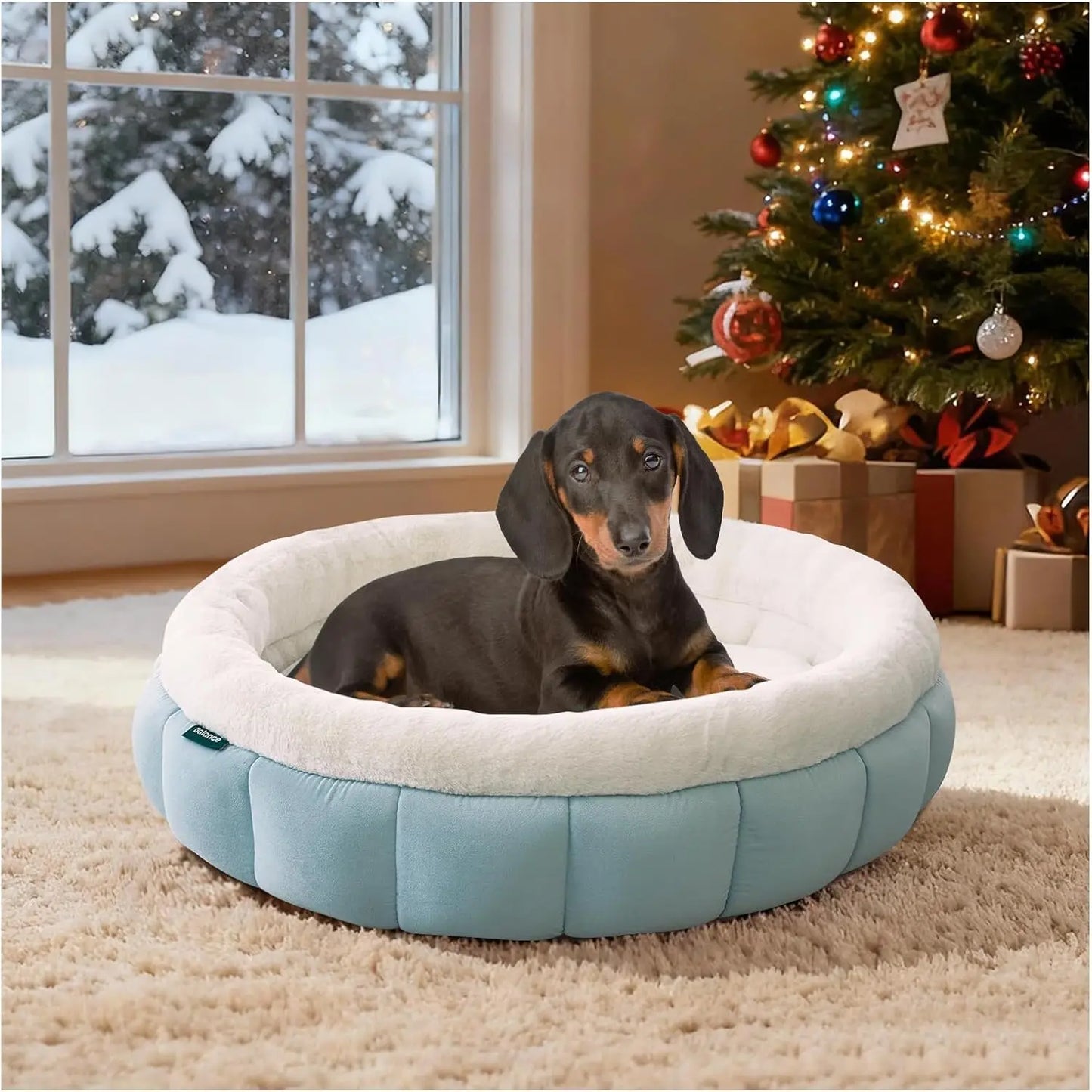 Cat Beds for Indoor Cats, Washable Round Dog Bed, Donut Dog Bed with Anti-Slip Bottom for Small Dogs, 28 Inches