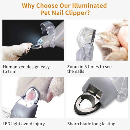 Professional Pet Nail Clipper Scissors With LED Light Cat Dog Nail Clipper Tool Scissors Nail Toeclaw Cutter