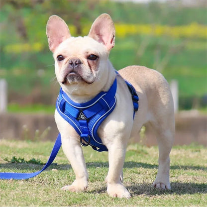 No Pull Harness and Leash Set Adjustable Pet Harness Vest for Small Dogs Cats Reflective Dog Chest Strap Lead Walking