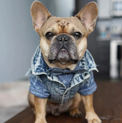 Pet Dog Jeans Jacket Denim Coats Holes Cats Puppy Vest French Bulldog Small Dog Clothes