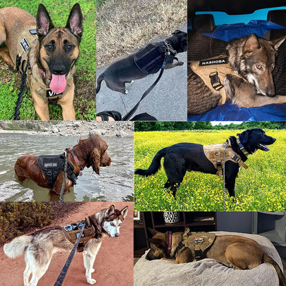 Large Dog Harness And Leash Set Pet Training Walking Vest Dog Harness And Collar For Medium Large Dogs