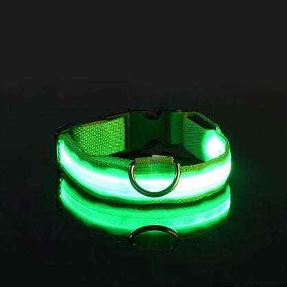 Dog Collar Nylon LED Night Safety Flashing Glow In the Dark Pet Dog collar