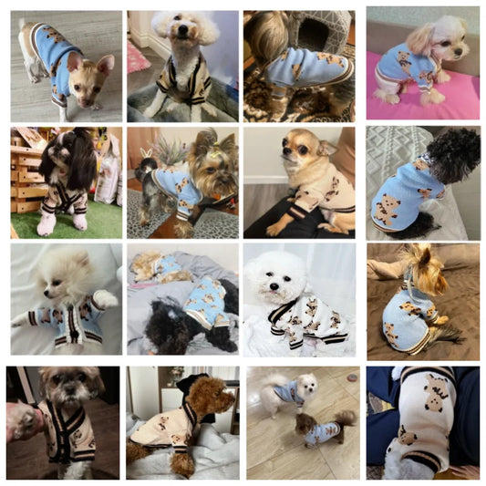Luxury Dog Clothes Chihuahua Pet Striped Cardigan Sweater Bichon Frise Puppy Kitten Dog Warm Coat Cat Dog