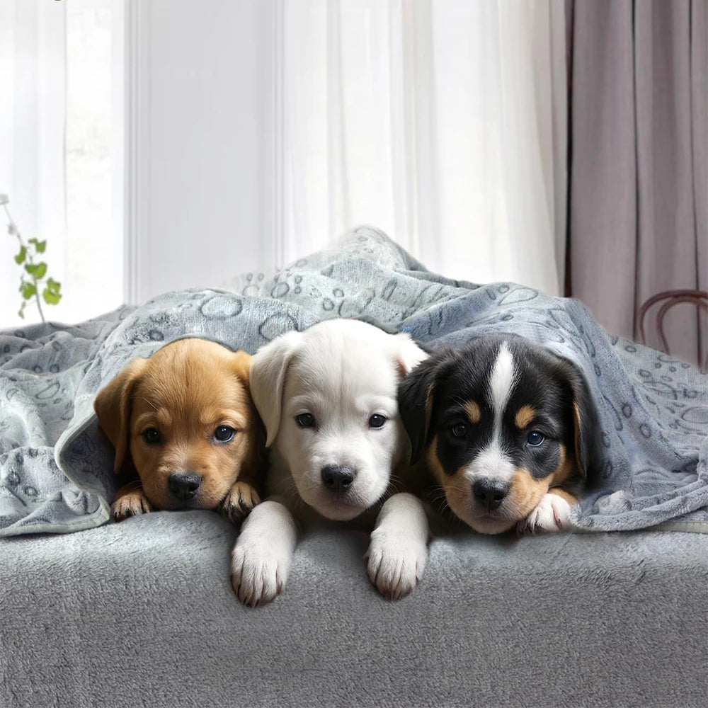Ultra-Soft Paw Print Dog Blankets - Machine Washable, Cozy Pet Pillow Pads for Indoor & Outdoor Use