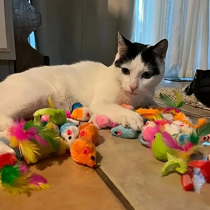 14pcs Cat Toys Mixed Pack. A Combination of Various Plastic Toys and Plush Toys