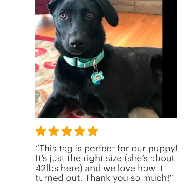 Pet Tag for Dogs  - Star Pet Tag - Custom Pet Tag - Dog Pet Tag - Navy Blue & Lime Green Personalized Pet Tag